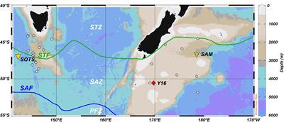 Reduction in size of the calcifying phytoplankton Calcidiscus leptoporus to environmental changes between the Holocene and modern Subantarctic Southern Ocean